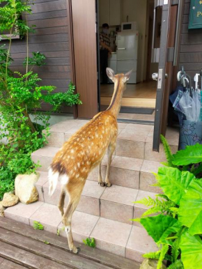 Deer Hotel ( JR Nara )